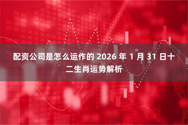 配资公司是怎么运作的 2026 年 1 月 31 日十二生肖运势解析