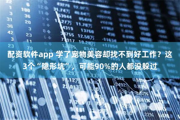 配资软件app 学了宠物美容却找不到好工作？这3个“隐形坑”，可能90%的人都没躲过